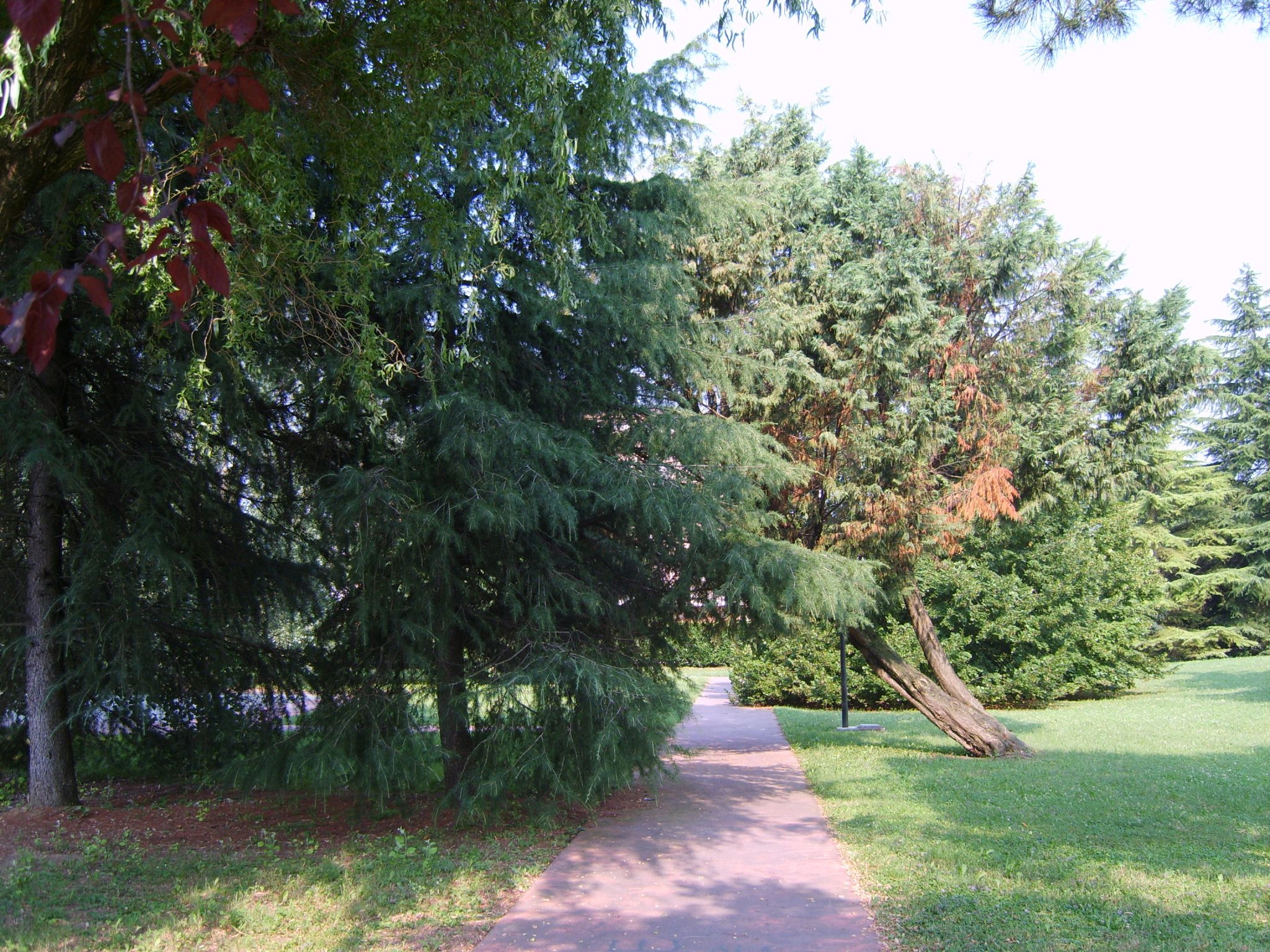 Parco Rovereto Friuli Selvazzano